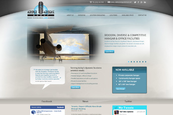 Aeroplex Website